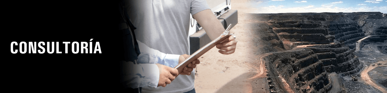 CONSULTORÍA CAT® MINESTAR™
