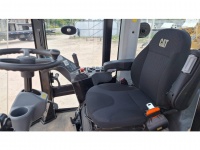 cat-73300130-10239853