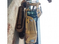 cat-sp910281-4898100