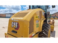 cat-73300130-10239853