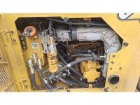 cat-g4400269-10239857