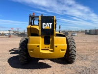 cat-slf01067-10041765