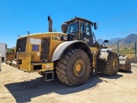 cat-pf800463-10184940