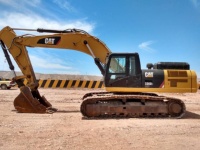 cat-ycf00382-4343101