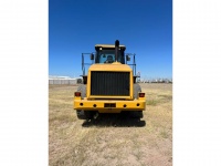 cat-jlx00388-10162649