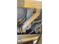 cat-ae800316-10197419