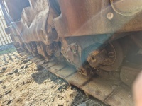 cat-mb800655-10209287
