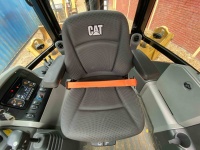 cat-h9p00115-10229839