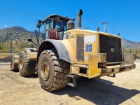 cat-pf800463-10184940