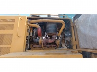 cat-jpa04560-10152374