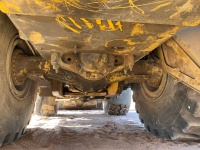 cat-pf800278-10209833