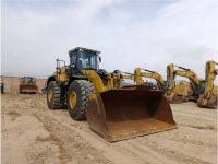 cat-mk900308-10187139