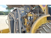 cat-73300130-10239853