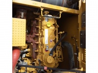 cat-sp910281-4898100
