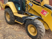 cat-h9p00115-10229839
