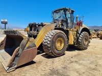 cat-pf800463-10184940