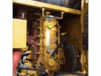 cat-sp910281-4898100