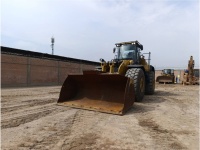 cat-mk900308-10187139