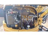 cat-e5c00204-10191588