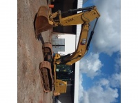 cat-sp910281-4898100